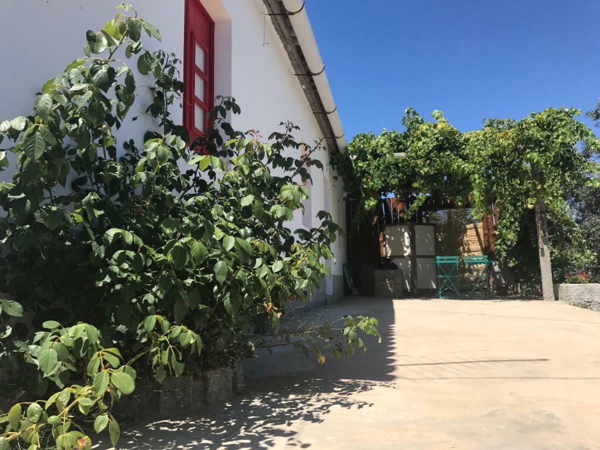 בית הארחה מונצ'יק 	Casa Da Nave מראה חיצוני תמונה